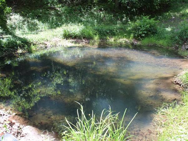 337 Roberson School Rd., Moravian Falls, NC