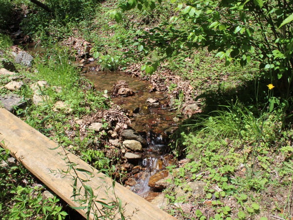 337 Roberson School Rd., Moravian Falls, NC