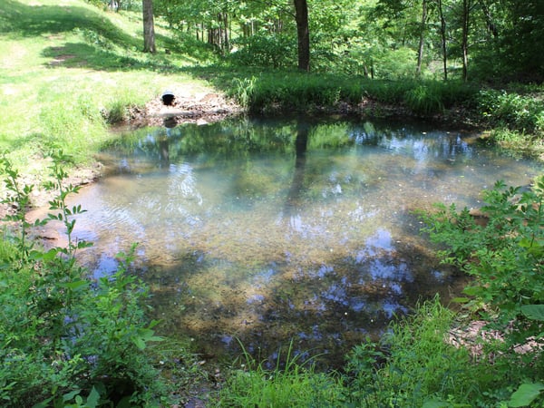 337 Roberson School Rd., Moravian Falls, NC