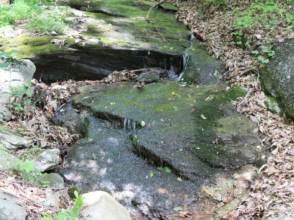 337 Roberson School Rd., Moravian Falls, NC