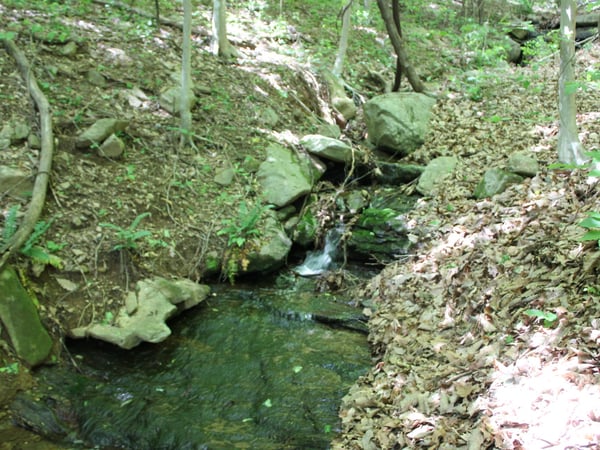 337 Roberson School Rd., Moravian Falls, NC