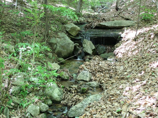 337 Roberson School Rd., Moravian Falls, NC