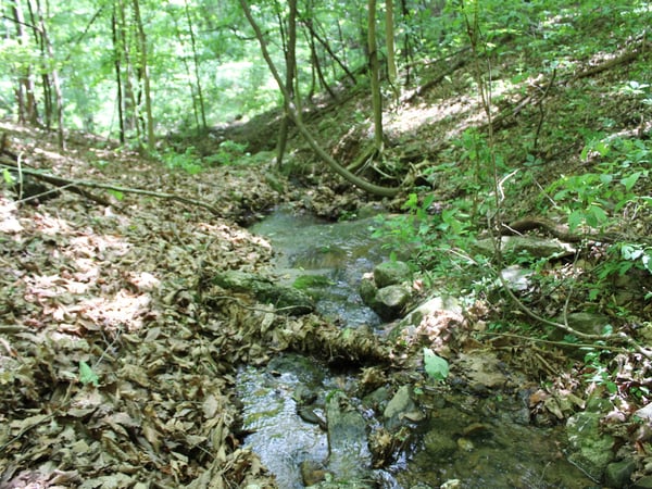 337 Roberson School Rd., Moravian Falls, NC