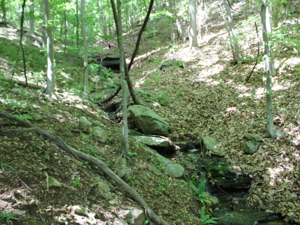 337 Roberson School Rd., Moravian Falls, NC
