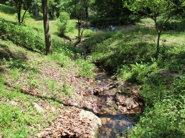 337 Roberson School Rd., Moravian Falls, NC