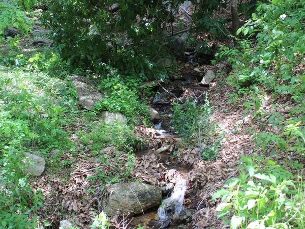 337 Roberson School Rd., Moravian Falls, NC