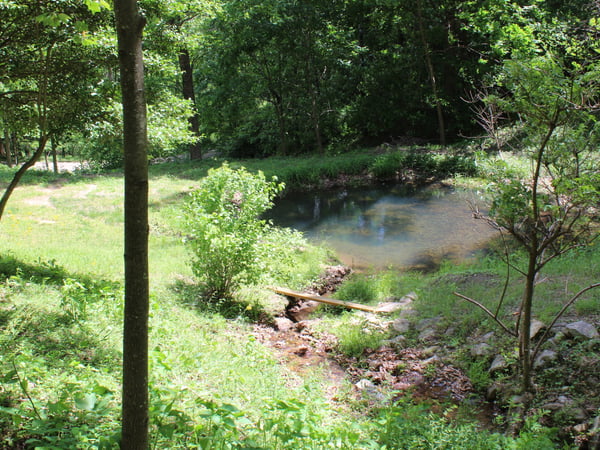 337 Roberson School Rd., Moravian Falls, NC