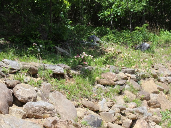 337 Roberson School Rd., Moravian Falls, NC