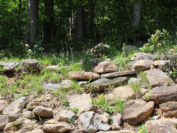 337 Roberson School Rd., Moravian Falls, NC