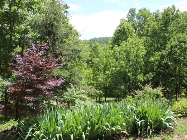 337 Roberson School Rd., Moravian Falls, NC
