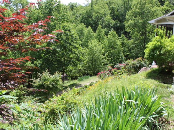 337 Roberson School Rd., Moravian Falls, NC