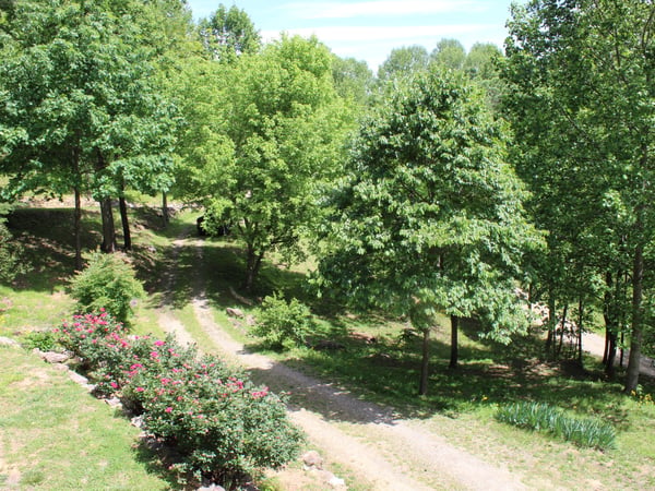 337 Roberson School Rd., Moravian Falls, NC