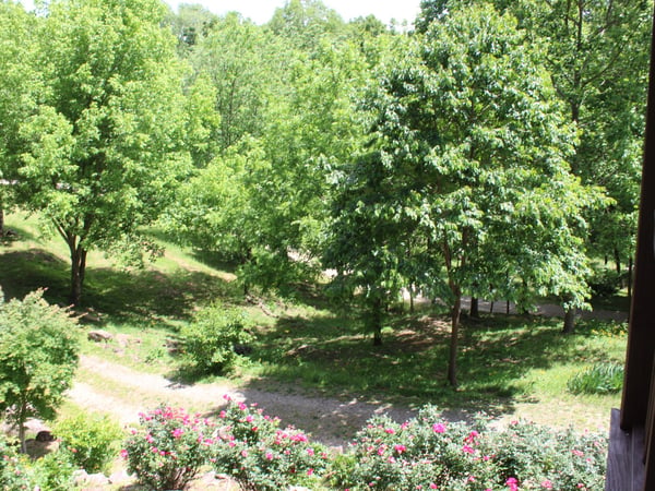 337 Roberson School Rd., Moravian Falls, NC
