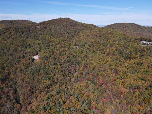 337 Roberson School Rd., Moravian Falls, NC