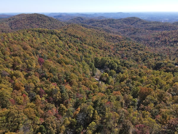 337 Roberson School Rd., Moravian Falls, NC
