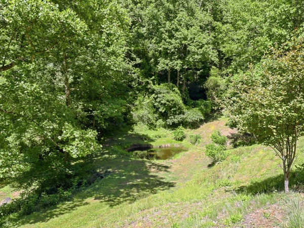 337 Roberson School Rd., Moravian Falls, NC