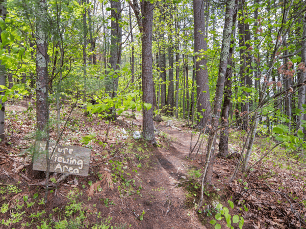 5 North Meadow Rd - SOLD!, Amherst, NH