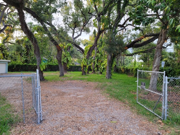 Spacious, tree-lined lot offers ample room for outdoor activities and potential development near urban amenities.