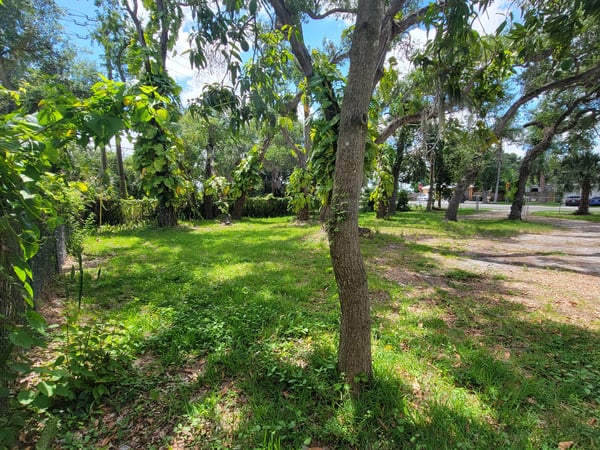 Spacious vacant lot surrounded by lush greenery, ideal for building your dream home or projects.