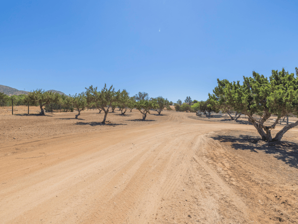 2727 Sache Street, Acton, CA