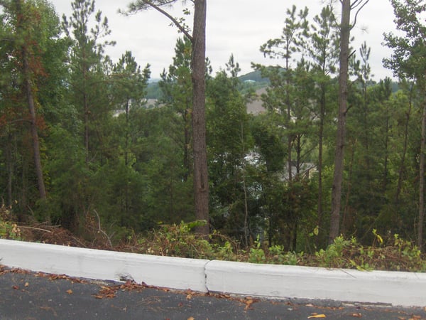 Secluded lot surrounded by tall pines, offering a tranquil setting with a glimpse of water views.