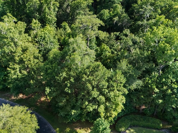 252 Club Gate Drive, Bluffton, SC