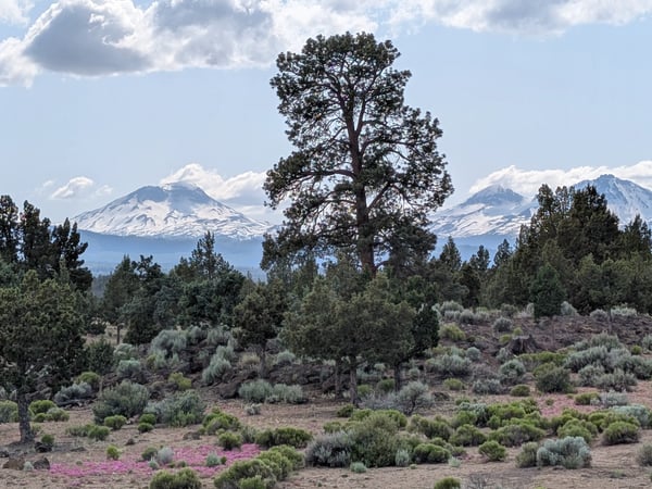 17740 Ox Spur Ct, Bend, OR