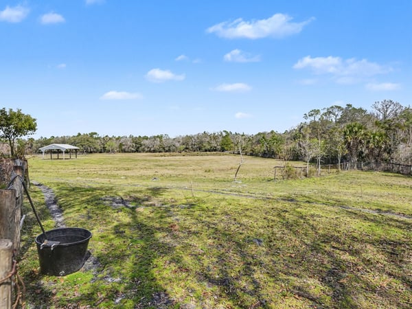 View from the fenced in dog yard looking out into the pasture! This pasture has a natural rolling hill that slopes down providing for natural drainage.
