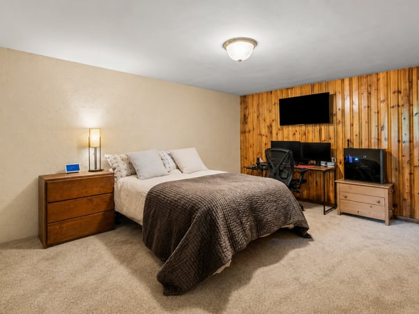 Lower level bedroom