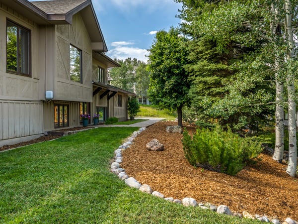 Inviting landscape with a curved path, lush greenery, and mature trees in a tranquil setting.