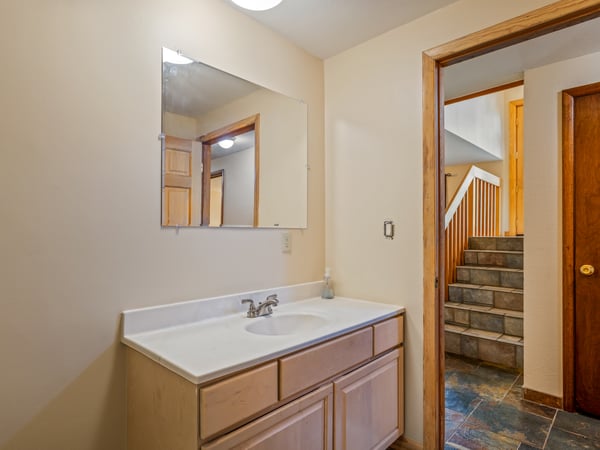 Lower Level Updated Bathroom