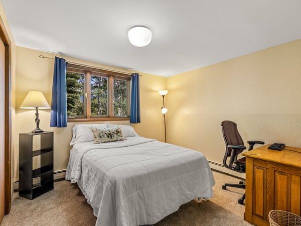 Lower Level Bedroom