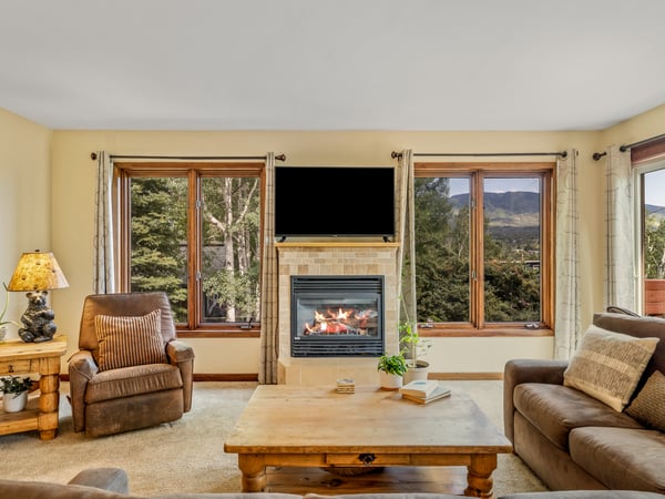 Cozy Gas Fireplace