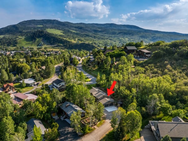 Discover a unique hillside property surrounded by lush greenery, offering stunning mountain views and tranquil living.