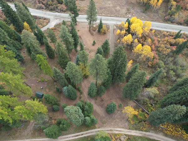 1608 Bear Trail Loop, Cascade, ID