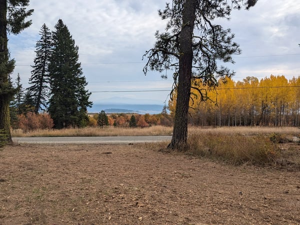 1608 Bear Trail Loop, Cascade, ID