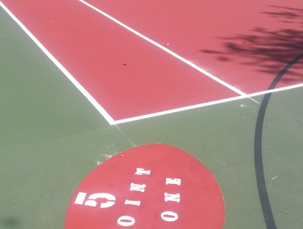 Discover a unique property featuring a fully-equipped basketball court ideal for active living and recreation.