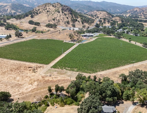 Moskowite Estate | Commercial Development Project | Offered at $75,000,000, napa, CA