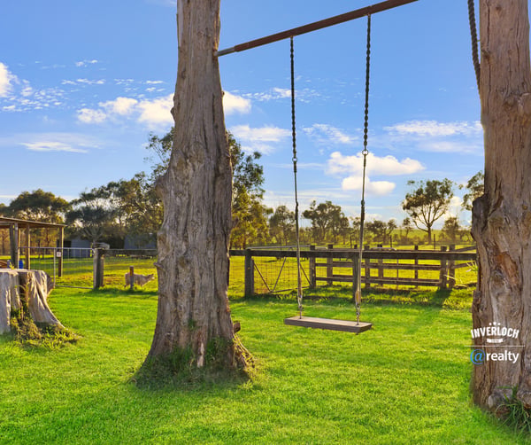 Expansive property featuring a relaxing swing, surrounded by lush greenery and open countryside views.
