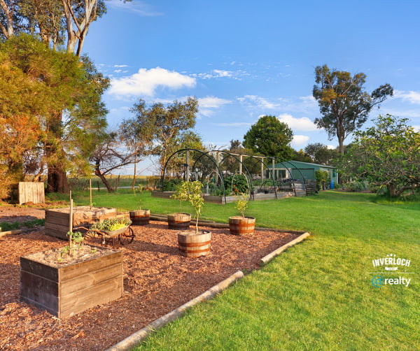 Spacious outdoor area featuring raised garden beds and scenic views, ideal for gardening enthusiasts and outdoor living.