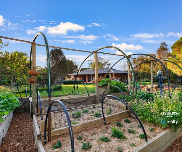 Lush vegetable garden with arched trellises, offering a unique outdoor oasis for gardening enthusiasts.