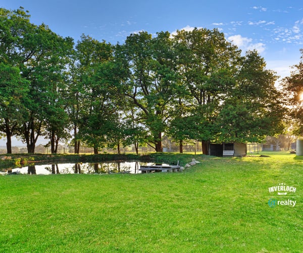 Expansive green space features a tranquil pond, surrounded by mature trees, perfect for outdoor gatherings.