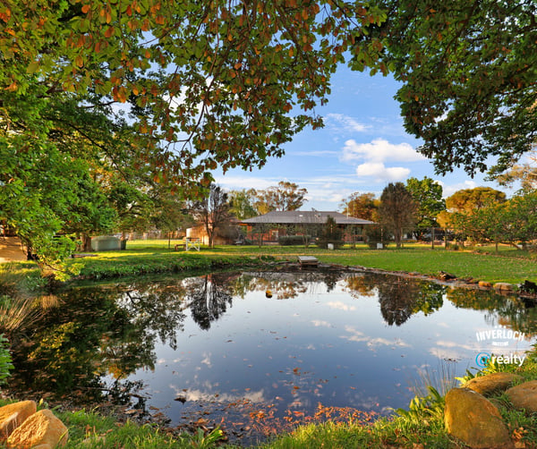 Expansive outdoor space featuring a tranquil pond, surrounded by lush greenery and scenic views.