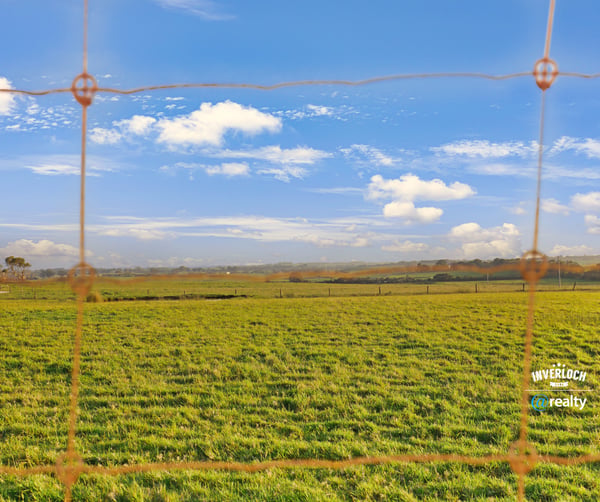 Expansive green fields under a bright sky, ideal for agricultural development or recreational living.