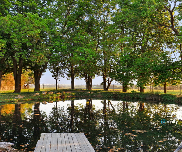 Scenic property featuring a tranquil pond surrounded by mature trees and vibrant greenery. Perfect for outdoor enthusiasts.